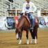Buckeye Friends of Reining Futurity